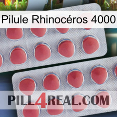 Pilule Rhinocéros 4000 19